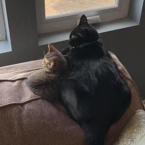 Meet your Posher, Jodie